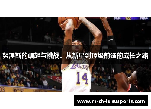 努涅斯的崛起与挑战：从新星到顶级前锋的成长之路