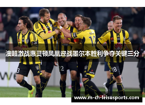 澳超激战惠灵顿凤凰迎战墨尔本胜利争夺关键三分