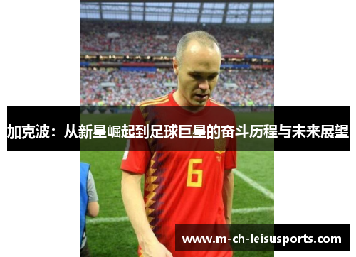 加克波：从新星崛起到足球巨星的奋斗历程与未来展望